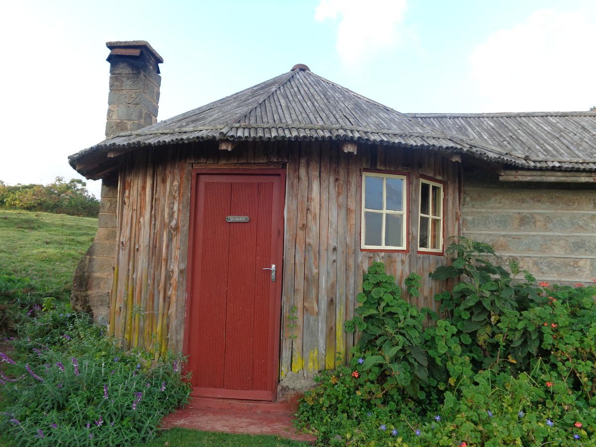 Castle Forest Lodge Mount Kenya National Park Esterno foto