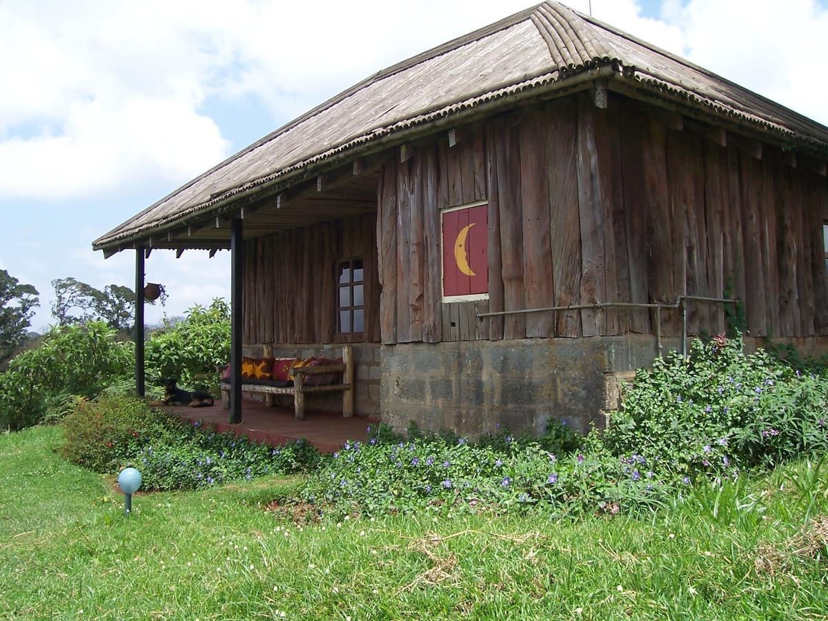 Castle Forest Lodge Mount Kenya National Park Esterno foto