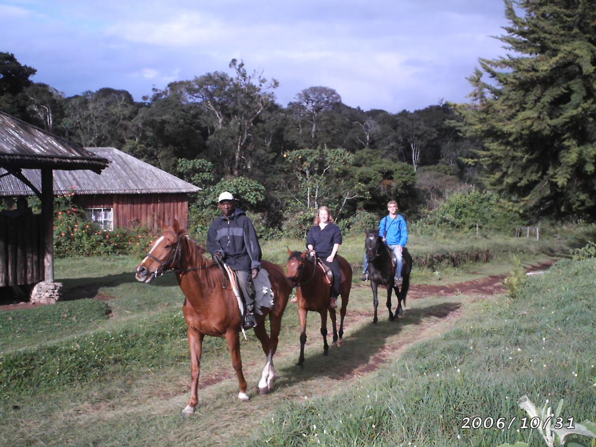 Castle Forest Lodge Mount Kenya National Park Esterno foto