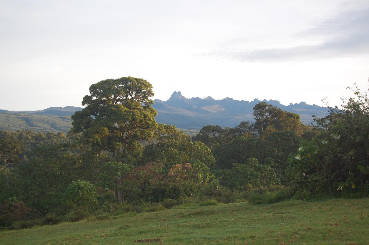 Castle Forest Lodge Mount Kenya National Park Esterno foto