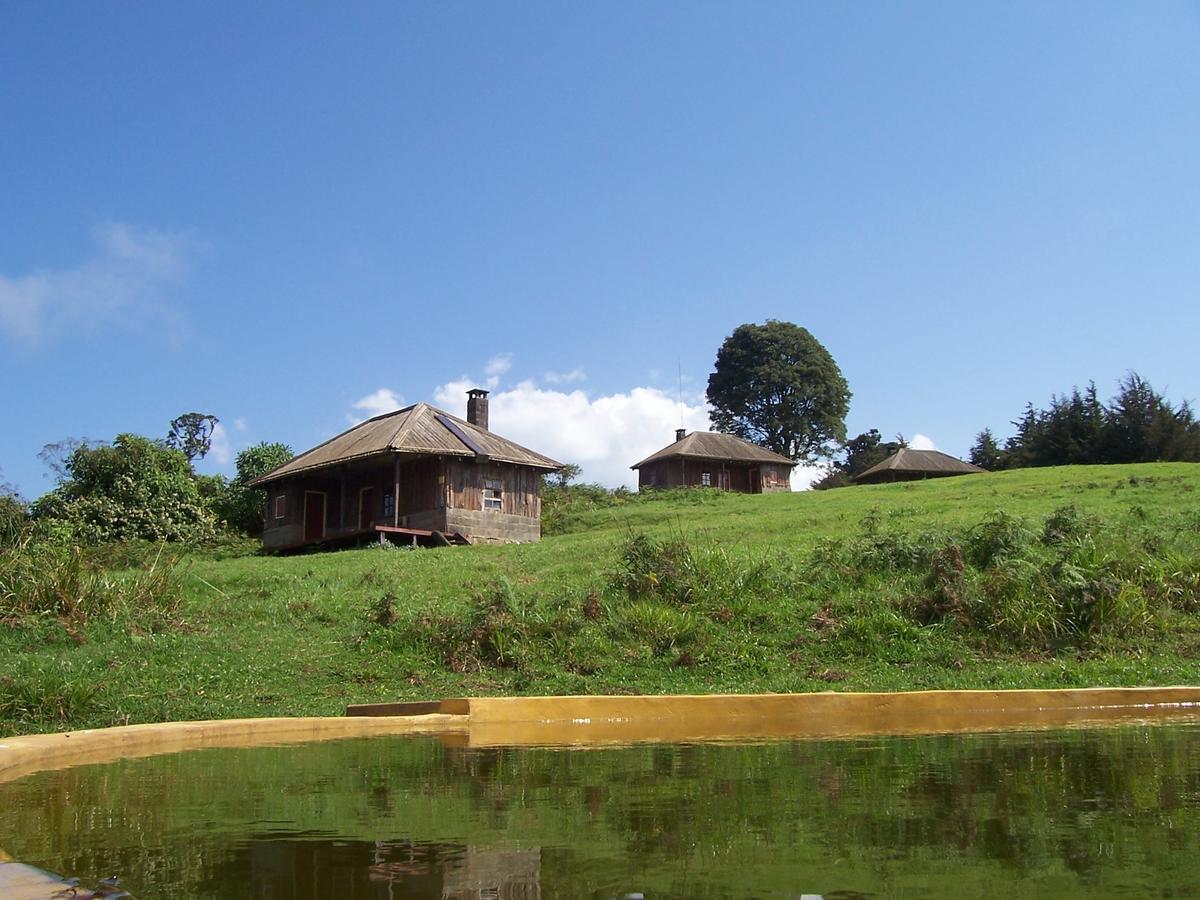 Castle Forest Lodge Mount Kenya National Park Esterno foto