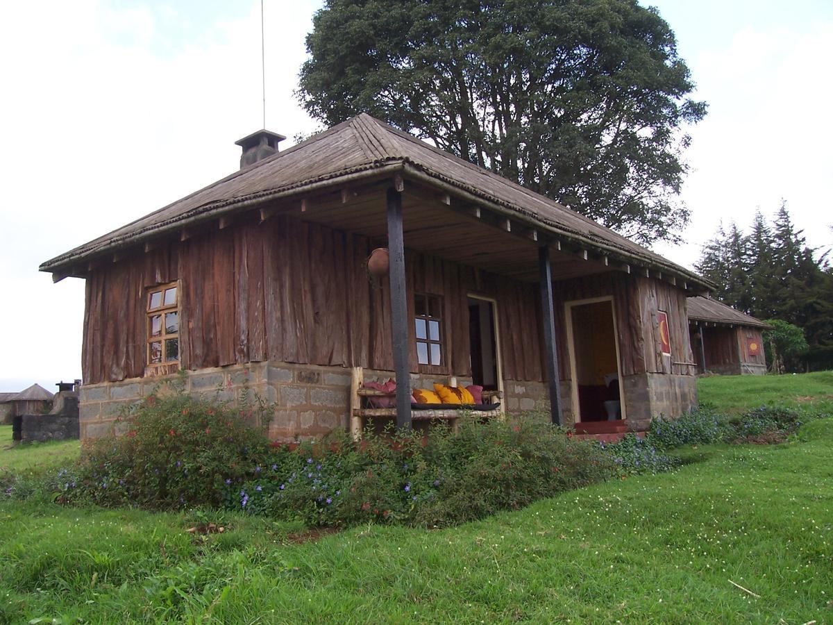 Castle Forest Lodge Mount Kenya National Park Esterno foto