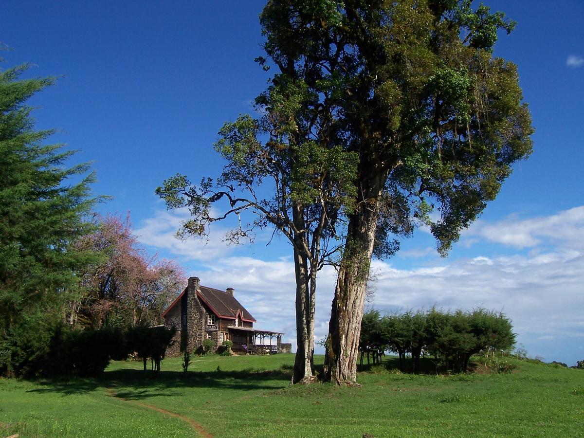 Castle Forest Lodge Mount Kenya National Park Esterno foto