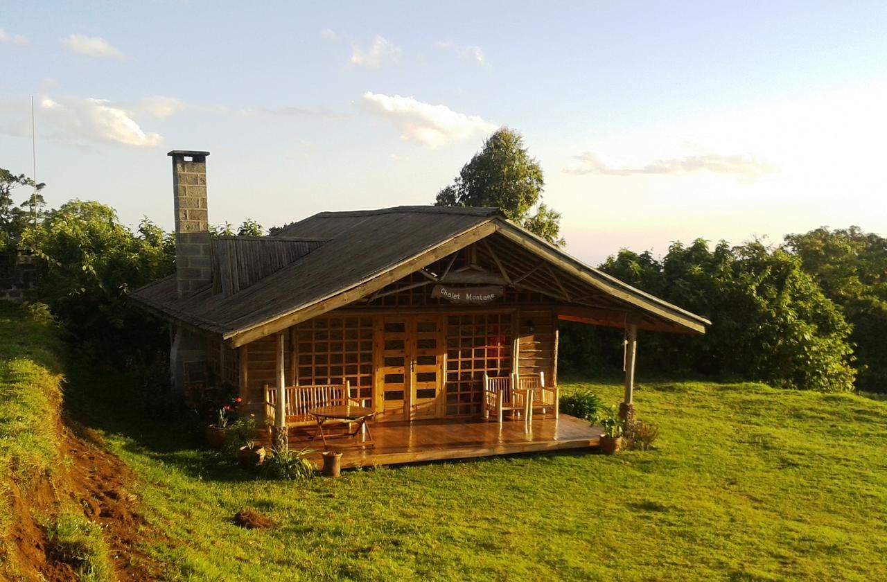 Castle Forest Lodge Mount Kenya National Park Esterno foto