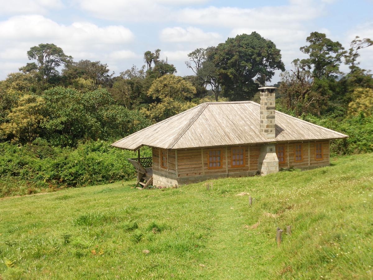 Castle Forest Lodge Mount Kenya National Park Esterno foto