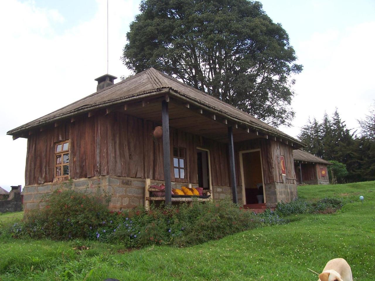 Castle Forest Lodge Mount Kenya National Park Esterno foto